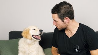 Mennyire vagyok jó gazdi? - Toby Q&A #1