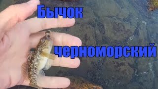 Как поймать бычка на море.Ловля бычка на Черном море с берега поплавочной удочкой.