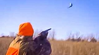 Amazing South Dakota Pheasant Hunting