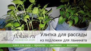 Улитка для рассады из подложки для ламината видео