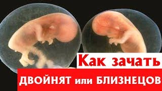 Как зачать ДВОЙНЯТ или БЛИЗНЕЦОВ (полное видео)?‍?‍?‍?