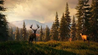 МИХАЛЫЧ НА ОХОТЕ - TheHunter: Call of the Wild.