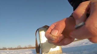 Как заточить крючок на рыбалке и насадить мотыля зимой, видео rybachil.ru