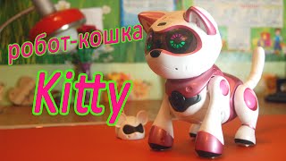 Творим чудеса! Обзор на кошку робота Китти. Teksta Robotic Kitty