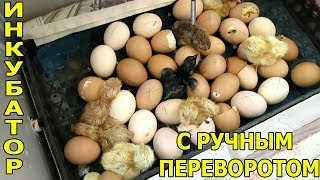 КАК СДЕЛАТЬ ИНКУБАТОР С РУЧНЫМ ПЕРЕВОРОТОМ.ПОДРОБНО.