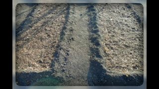 Готовим грядку для посадки чеснока