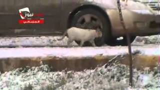 حلب :: أطفال حي الجزماتي يلعبون في الثلج 9-1-2013م