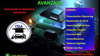 EGR OFF EDC17CP20 VW Amarok (ITAA)