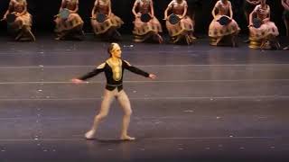 La Bayadere Solor variation - 10 dancers for comparison