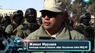 Союзники Против террора