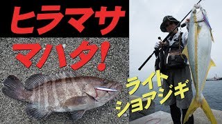 【楽々ショアジギング！】ライト＆ベイトフィネスの二刀流で攻略！