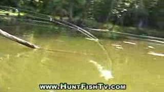 Fishing Mississippi River Backwater Bass Fishing