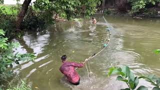 Pro Fisherman Catching Giant Gourami Fish