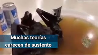 Las 5 noticias falsas sobre el coronavirus de Wuhan que circulan en internet