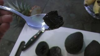 Black Sapote - The Chocolate Pudding Fruit | Diospyros nigra | HD Video