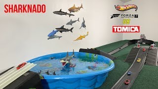 Hot Wheels vs Tomica | Sharknado Race