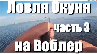 Ультралайт. Агрессивный  твичинг. Окунь. Usami Shirasu 58 SR