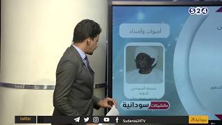 أخرجوا من صمتكم واستعموا لأنين الشعب عمود الكاتب الصحفي محجوب محمد صالح - مانشيتات سودانية