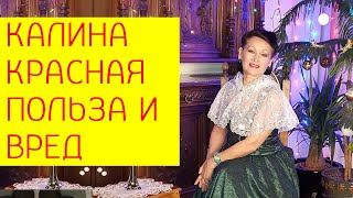 Калина красная. Состав, полезные свойства и рецепты похудения [Галина Гроссманн]
