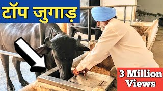 किसान ने लगाये ऐसे जुगाड़ सब हैरान |Automatic water bowl|Gobar gas plant|Dairy Farm india