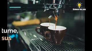 Kopi Luwak-Le café le plus cher du monde est à base de crotte