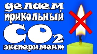 ТУШИМ ПЛАМЯ СВЕЧИ ПРИ ПОМОЩИ УГЛЕКИСЛОГО ГАЗА CO2 │#LizaZnaet