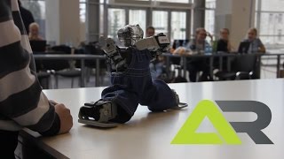 РобоФест-2017. Андроидные роботы. Команда AR-01