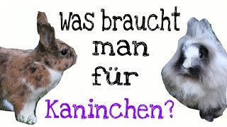 !Meine! Meinung was man zur Kaninchenhaltung braucht // MeAndMyBunny ?❤