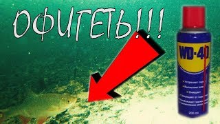 ОФИГЕТЬ!!! РЕАКЦИЯ РЫБЫ НА WD-40! Зимняя рыбалка 2018 | Подводная съемка