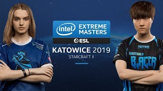 SC2 - Scarlett [Z] vs. Bunny [T] - Group D Round 4 - IEM Katowice 2019