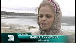 Экологи нашли на субботнике клад