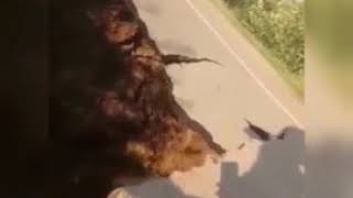 В Нижнеудинском районе из за подтопления обрушился автомобильный мост