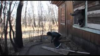 Тыва Ералаш