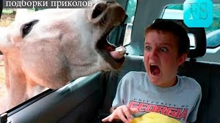 ПРИКОЛЫ 2017 АПРЕЛЬ//  Лучшая Подборка Приколов //ПАДЕНИЕ И НЕУДАЧИ