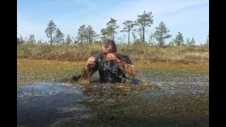 Нырнул в болото с головой