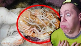 САМОЕ МЕРЗКОЕ ВИДЕО В МИРЕ! ПОПРОБУЙ НЕ ОТВЕРНУТЬСЯ челлендж