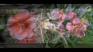 TRIBUTE TO LIFE  - Zhanna Bichevskaya:  Under Vivaldi´s Music