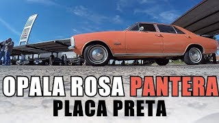 PLACA PRETA E ROSA PANTERA!!! - Opala 1974