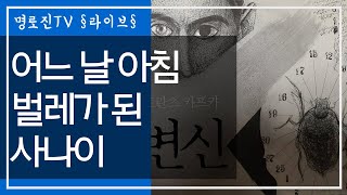백범이 예언한 문화 강국-봉준호가 이루다/카프카의 변신까지