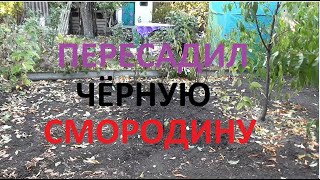 НУ ООООЧЕНЬ ДЛИННОЕ и ЧРЕЗВЫЧАЙНО не ИНТЕРЕСНОЕ ВИДЕО