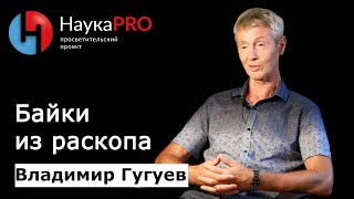 Владимир Гугуев - Байки из раскопа (интересные случаи из жизни археологов)