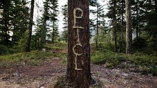 004 PTCL: "French Cabin Creek"