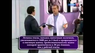 Пчелиное (маточное) молочко. Эликсир молодости!