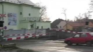 milovice elefant 10.12.2009