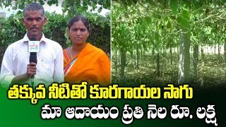 Vegetables Farming Through Pendal System with Less Water || High Yield Crops || SumanTV Rythu