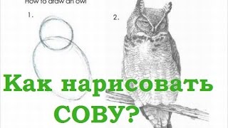 Как нарисовать сову за 10 минут? (How to draw an Owl?)