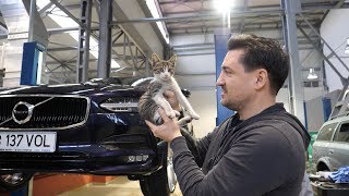 Am fost cu Volvo-ul la service