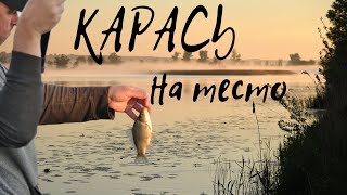 Карась нерестится, но клюет! Тесто сделало рыбалку. Рецепт рабочей прикормки.