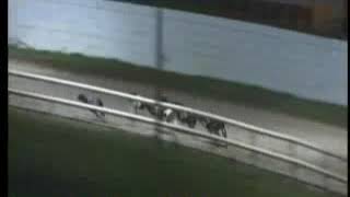 IGB - The Tote Trio Pool  03/01/2020 Race 2 - Tralee