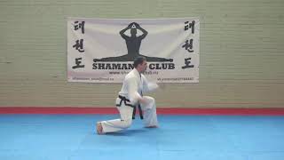 4. 6-й Гуп. Вон-Хе Туль / Won-Hyo Tul (Pattern) - Taekwon-Do ITF. Shamanin Club (Russia).